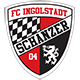 Teamlogo