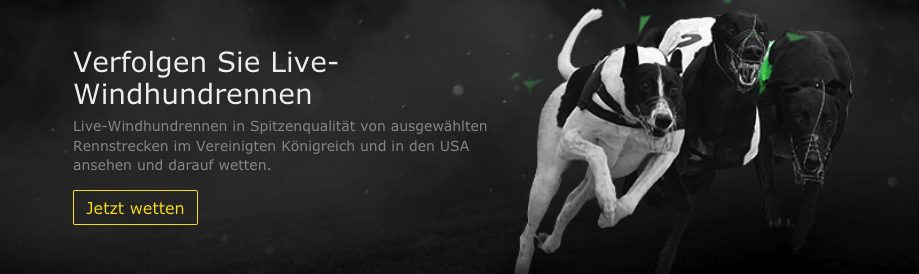 bet365 Live-Hunderennen