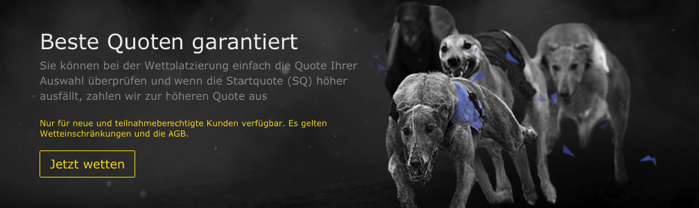 bet365 Hunderennen