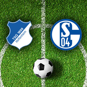 hoffemheim_schalke