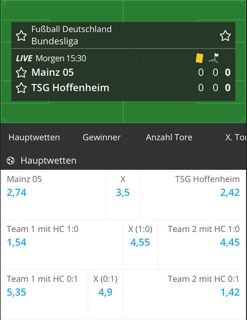 Mainz - Hoffenheim