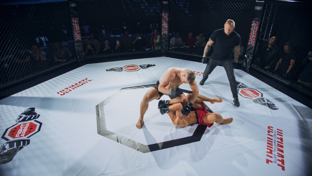 UFC 327: Prochazka vs. Ulberg – Datum, Uhrzeit, Übertragung & Wettquoten