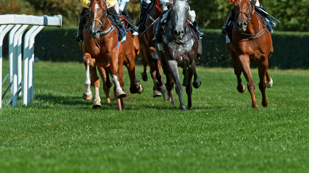 Irish Derby 2026 am Curragh: Favoriten, Quoten & große Analyse zum irischen Klassiker