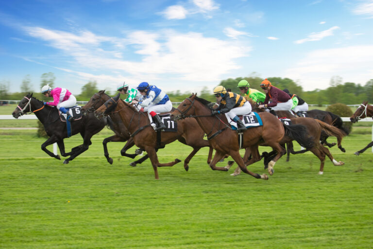 King George Stakes 2026: Favoriten, Analyse & Wett-Tipp zum Sprint-Highlight