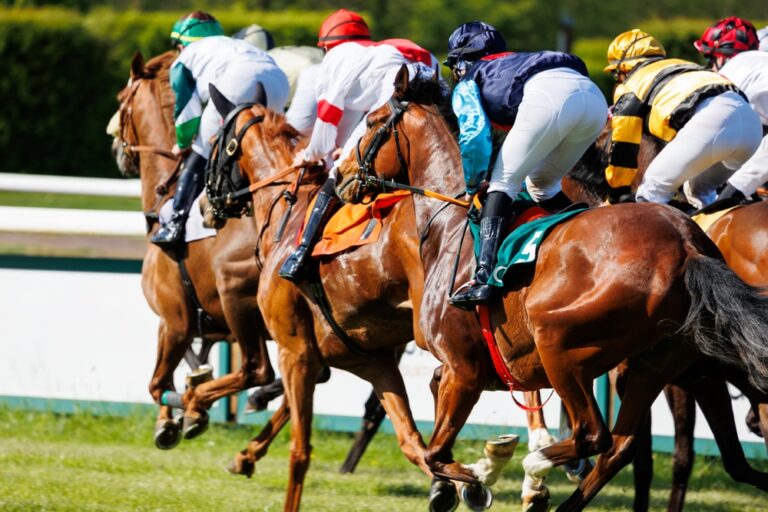 King George Stakes 2026 live: Wo läuft das Rennen im TV und Stream?